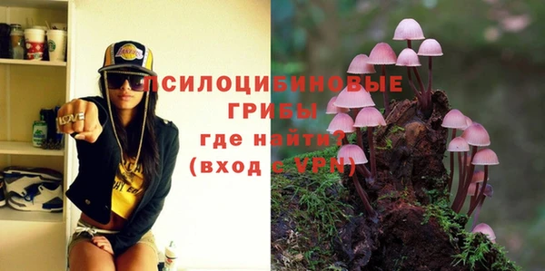 ГАЛЛЮЦИНОГЕННЫЕ ГРИБЫ Балашиха