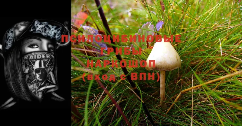 купить закладку  Клин  Галлюциногенные грибы Magic Shrooms 