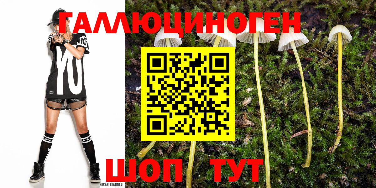 Псилоцибиновые грибы прущие грибы  Галлюциногенные грибы Psilocybe  где найти наркотики  Клин 