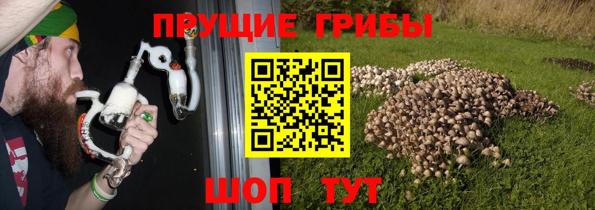Клин  Галлюциногенные грибы Magic Shrooms  Вход с VPN  Псилоцибиновые грибы GOLDEN TEACHER 